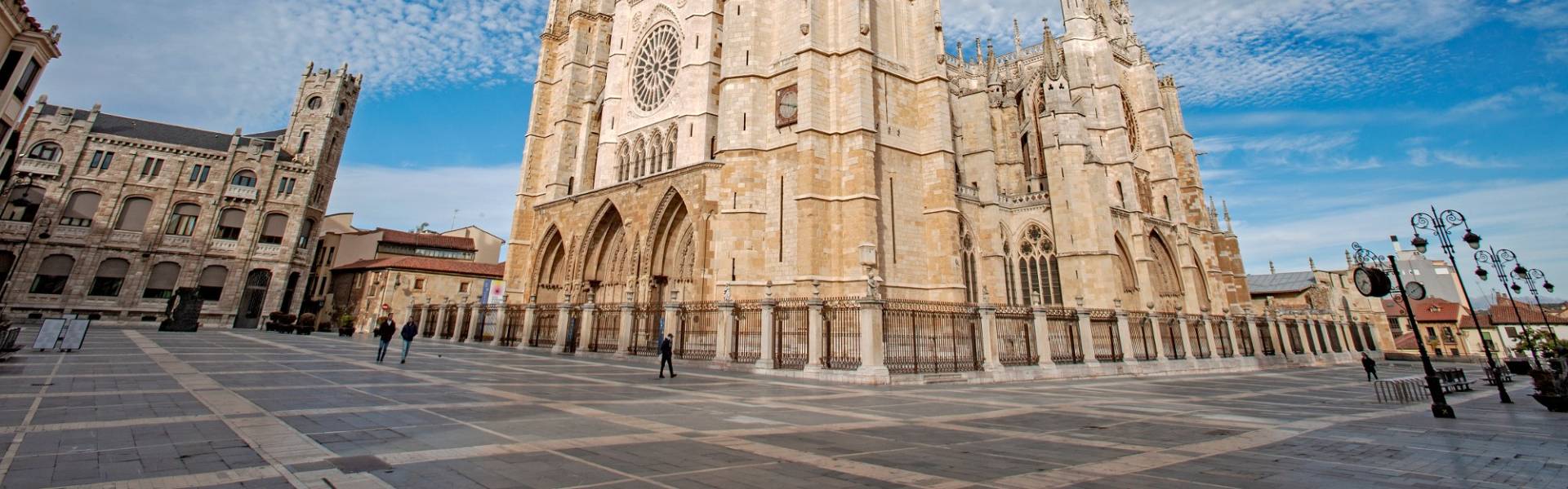 Imagen León 1